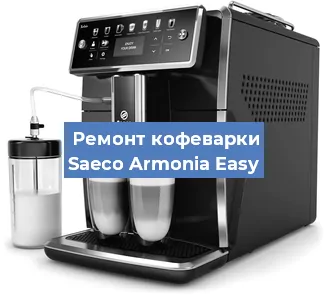Замена прокладок на кофемашине Saeco Armonia Easy в Красноярске